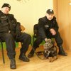 policja8